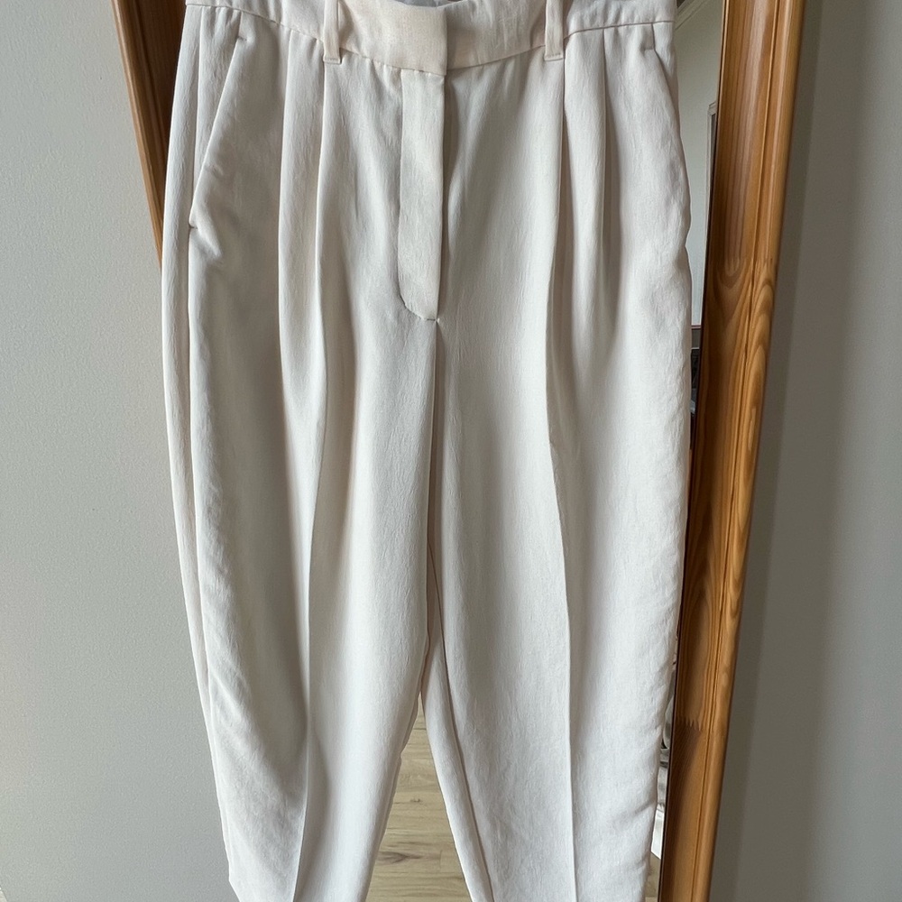 Aritzia Pants